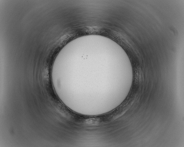 X0000114440700200911061704