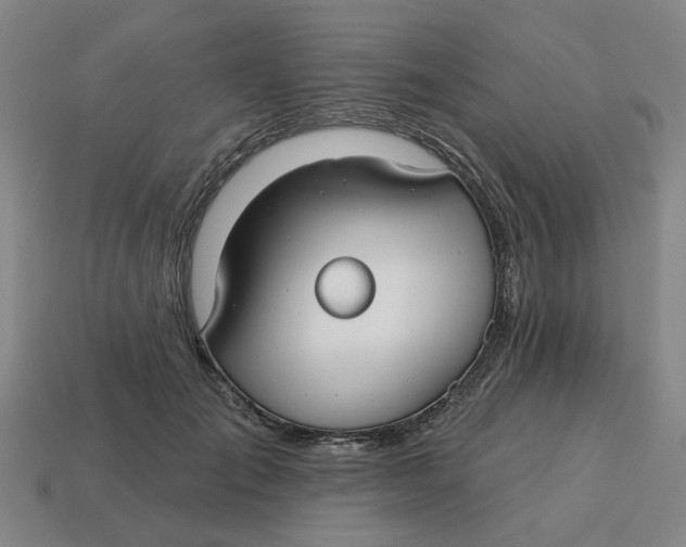 X0000114440701200911061704