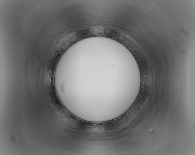 X0000114440702200911061704