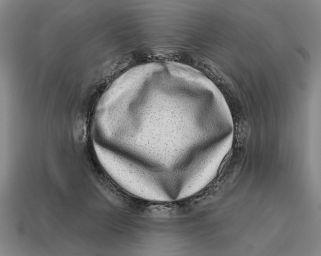 X0000114440703200911061704