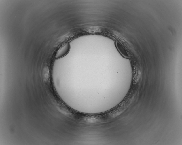 X0000114440704200911061704