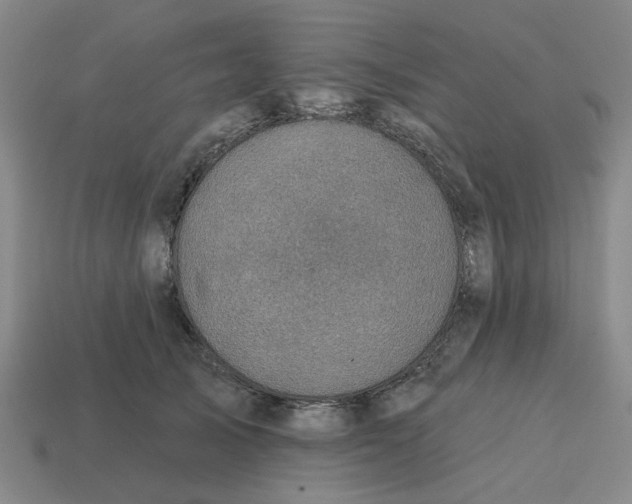 X0000114440705200911061704