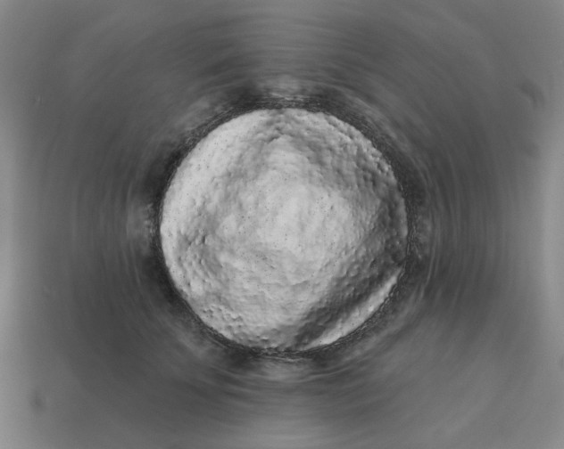 X0000114440707200911061704