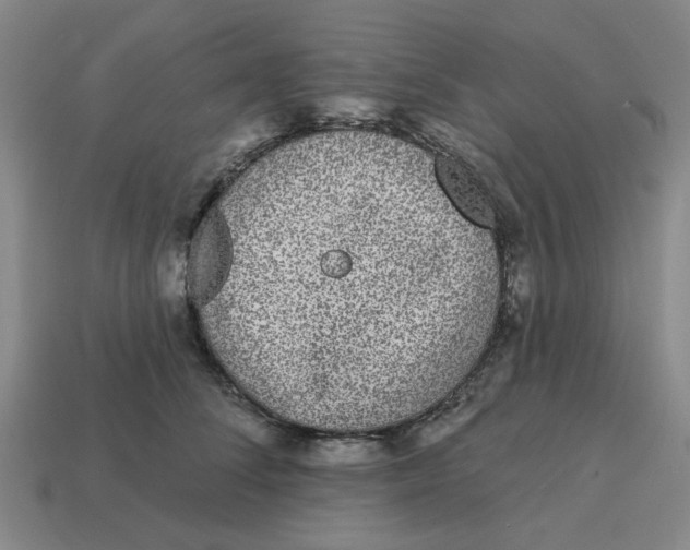 X0000114440708200911061704