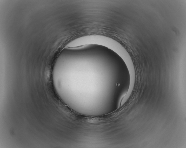 X0000114440709200911061704