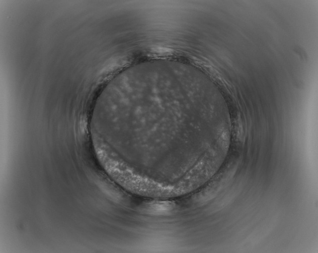 X0000114440711200911061704