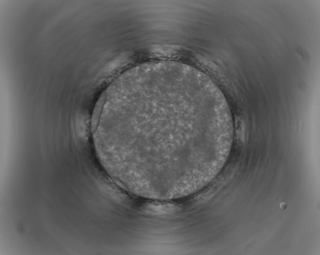 X0000114440712200911061704