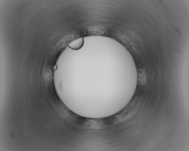 X0000114440713200911061704