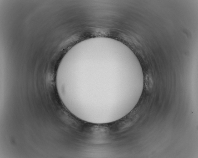 X0000114440714200911061704