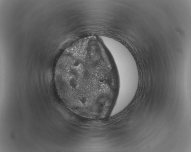 X0000114440715200911061704