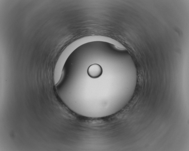 X0000114440716200911061704