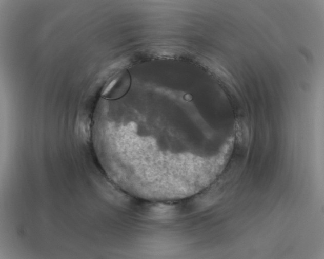 X0000114440718200911061704