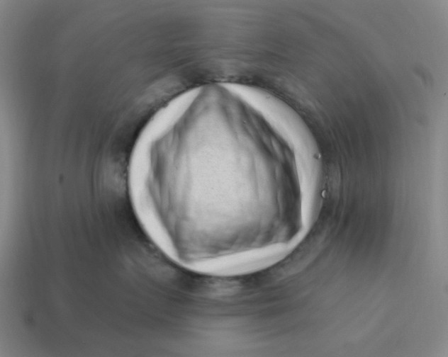 X0000114440719200911061704