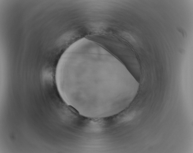 X0000114440720200911061704