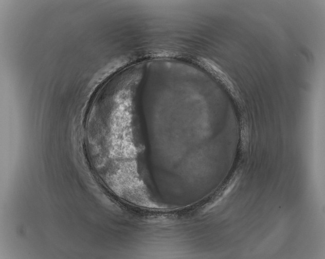 X0000114440721200911061703