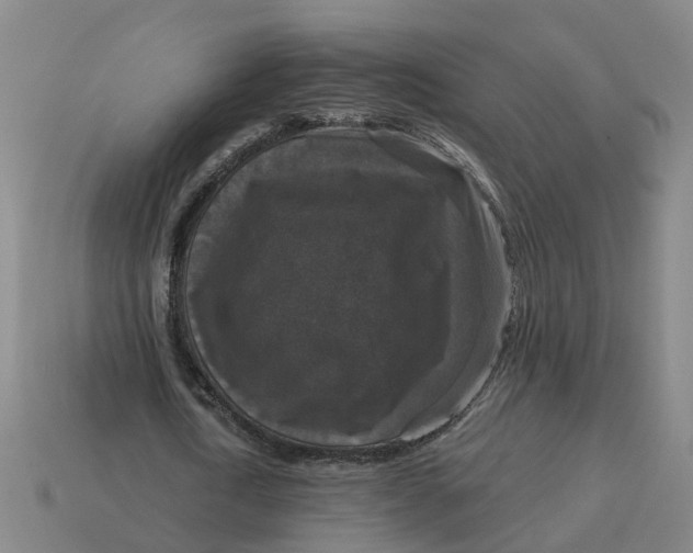 X0000114440722200911061703