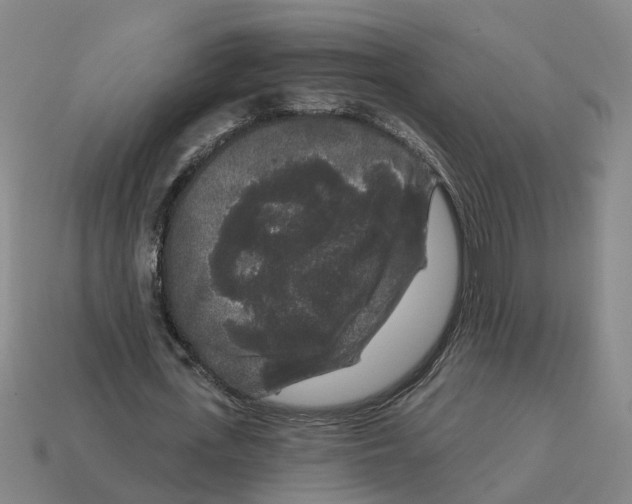 X0000114440723200911061703