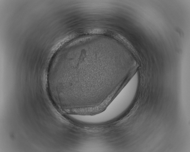 X0000114440725200911061703