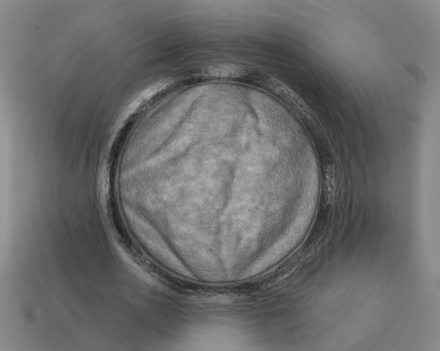 X0000114440726200911061703