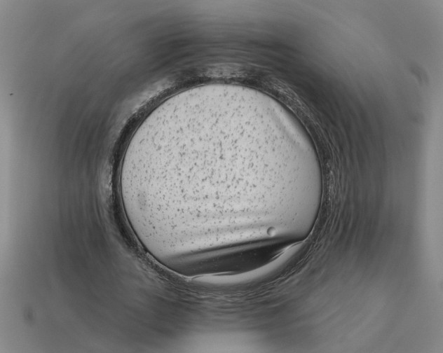 X0000114440727200911061703