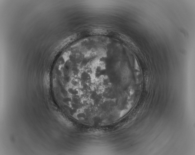 X0000114440729200911061703