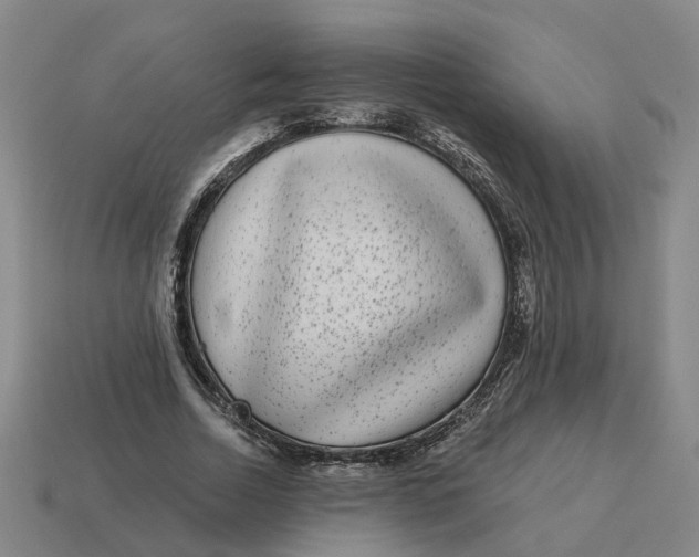 X0000114440730200911061703