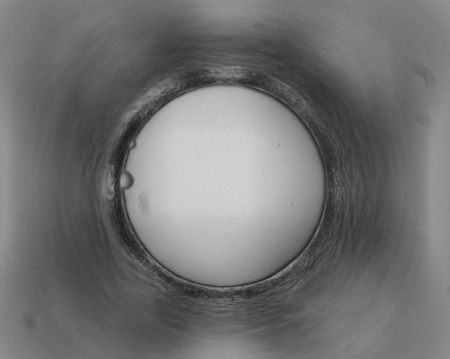 X0000114440731200911061703