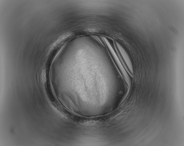 X0000114440734200911061703