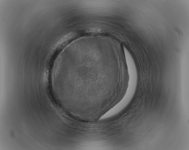 X0000114440735200911061703