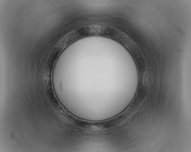 X0000114440737200911061703