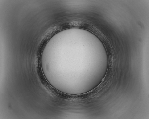 X0000114440738200911061703