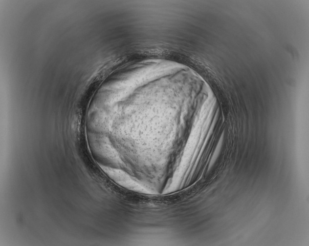 X0000114440739200911061703