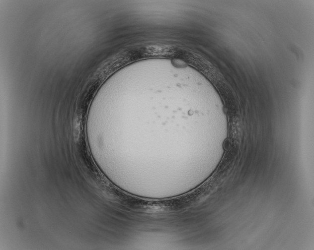 X0000114440741200911061703