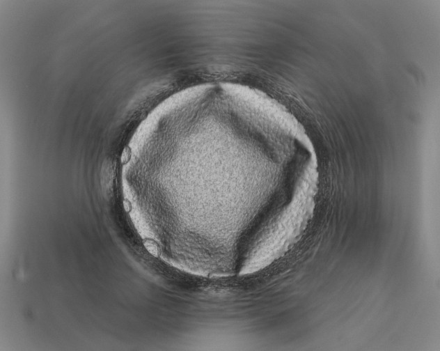 X0000114440742200911061703