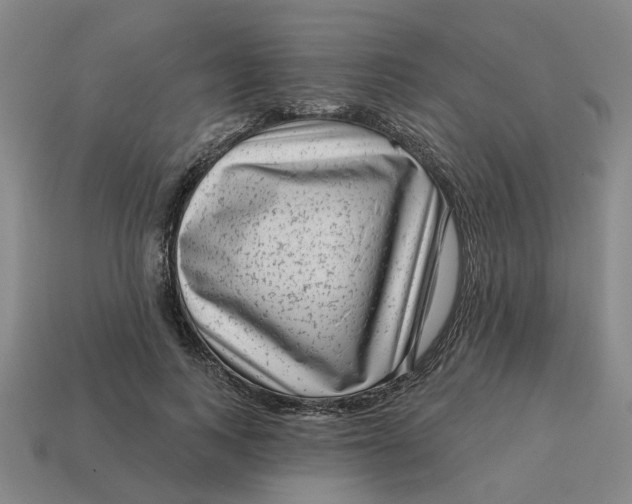 X0000114440743200911061703