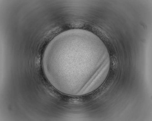 X0000114440745200911061703