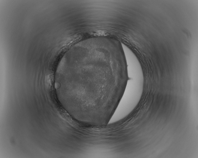 X0000114440747200911061703