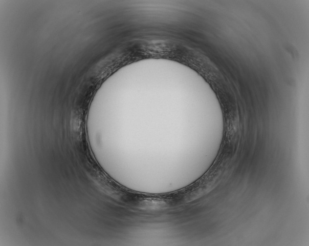 X0000114440749200911061703