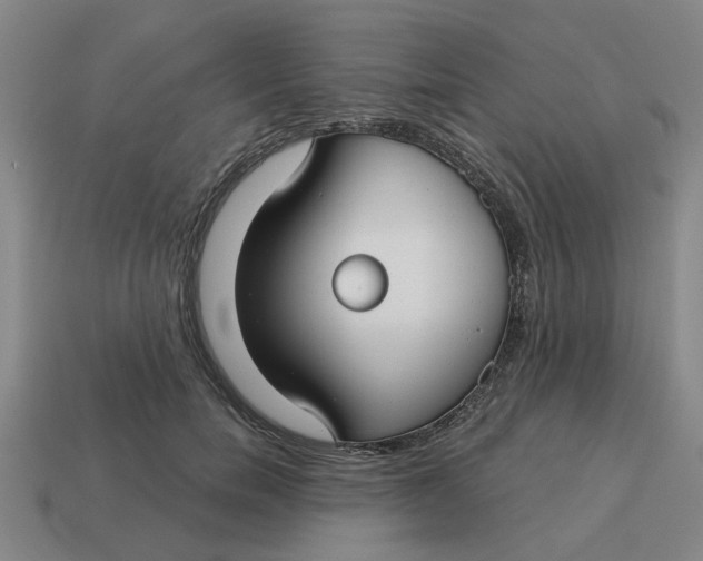 X0000114440750200911061703