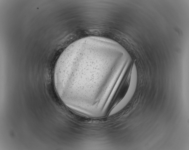 X0000114440751200911061703