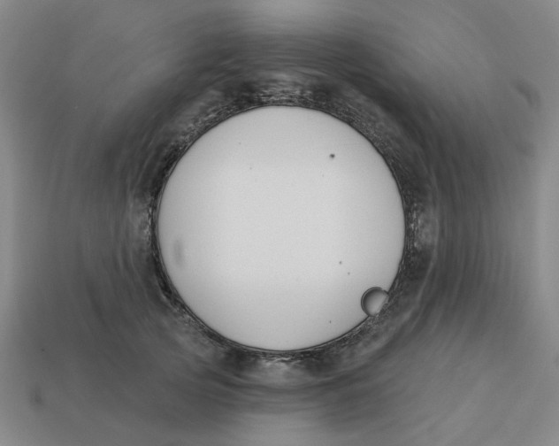 X0000114440753200911061703