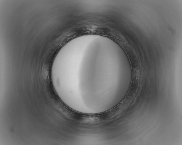 X0000114440754200911061703