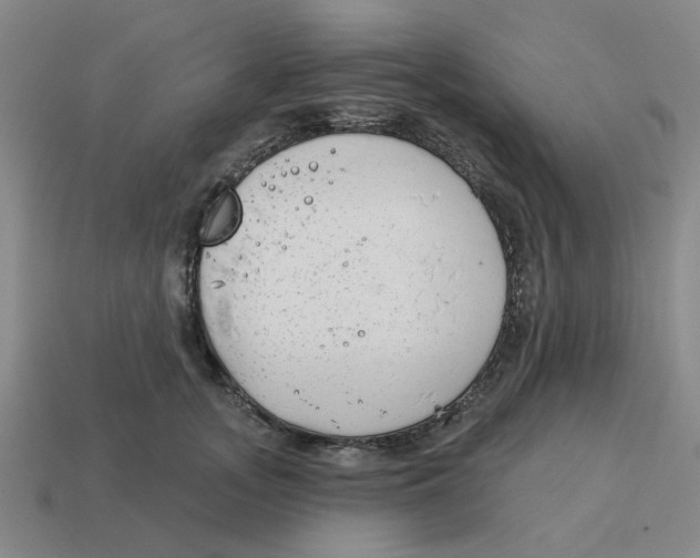 X0000114440755200911061703