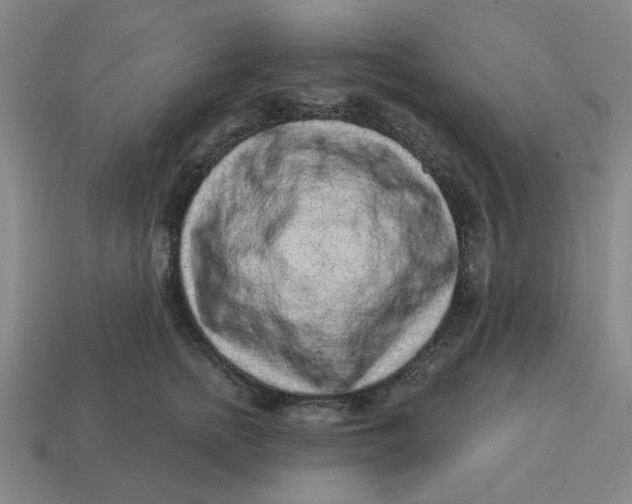 X0000114440758200911061703