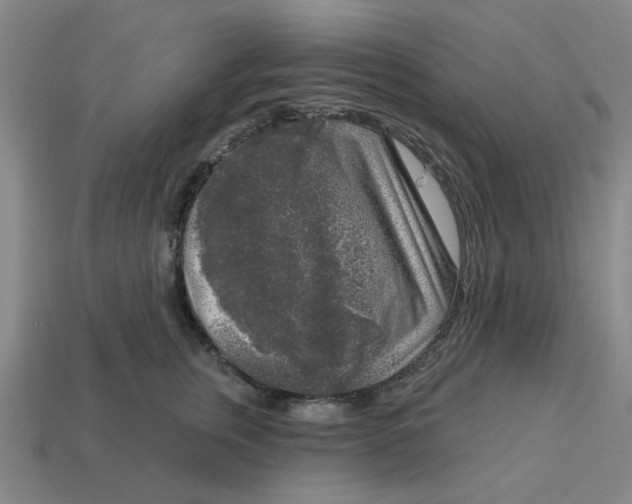 X0000114440759200911061703