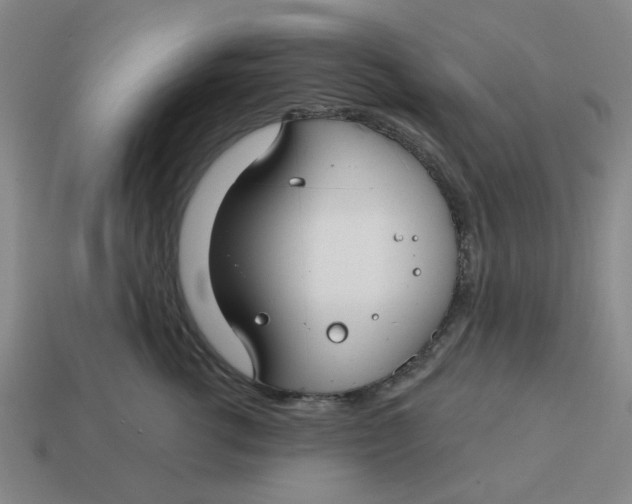 X0000114440762200911061703