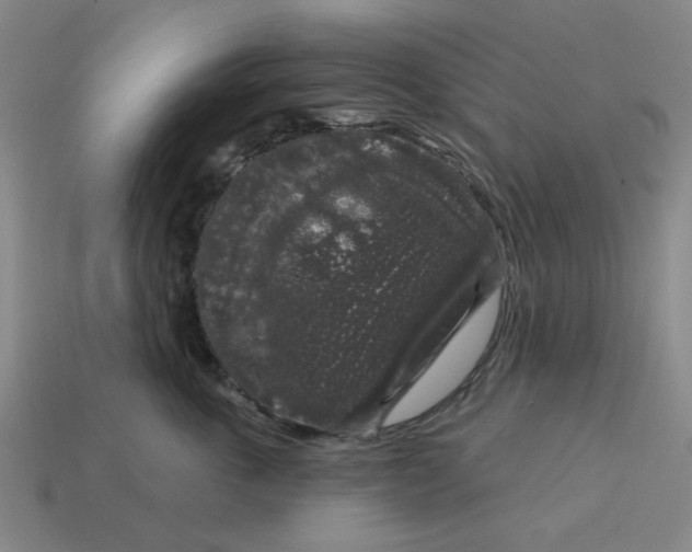 X0000114440763200911061703