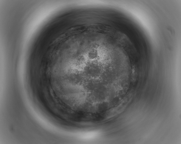 X0000114440765200911061703