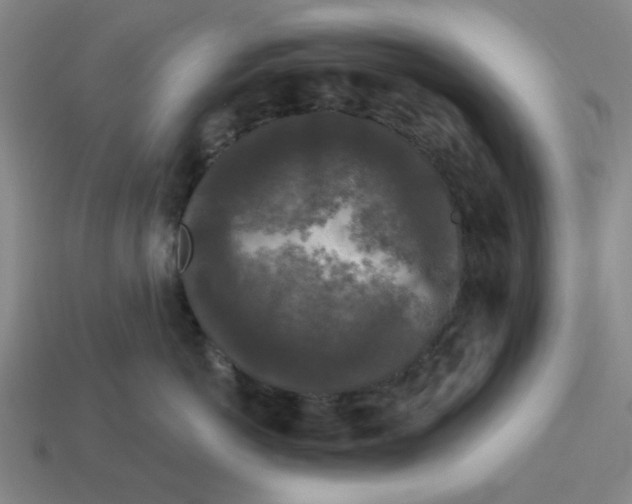 X0000114440766200911061703