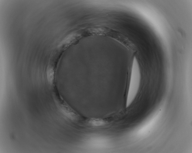 X0000114440767200911061703